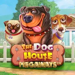 The Dog House Megaways game at Space Casino for United Kingdom players